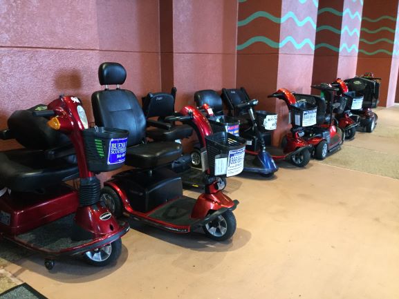 Electric Convenience Vehicle