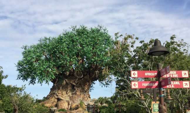 Animal Kingdom