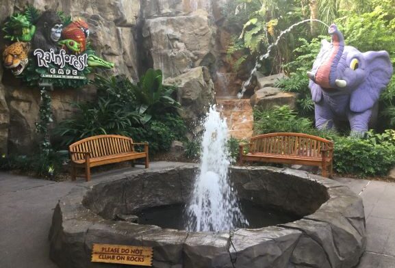 Rain forest Fountain