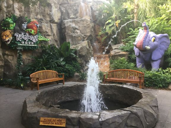 Rain forest Fountain