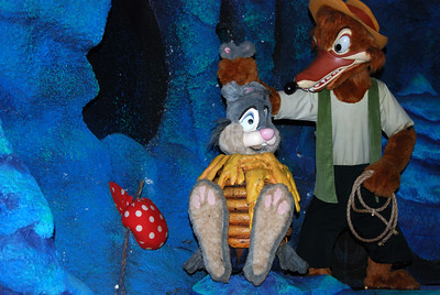 Splash Mountain ride