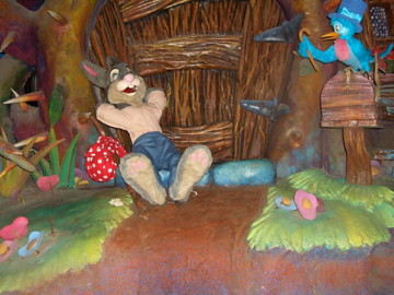 Splash Mountain ride