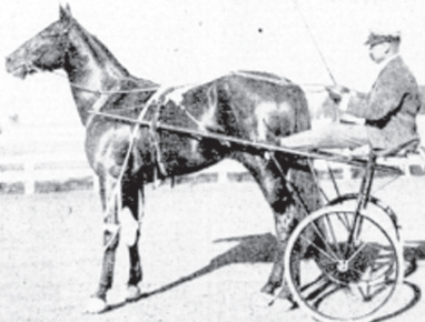 DanPatch1901