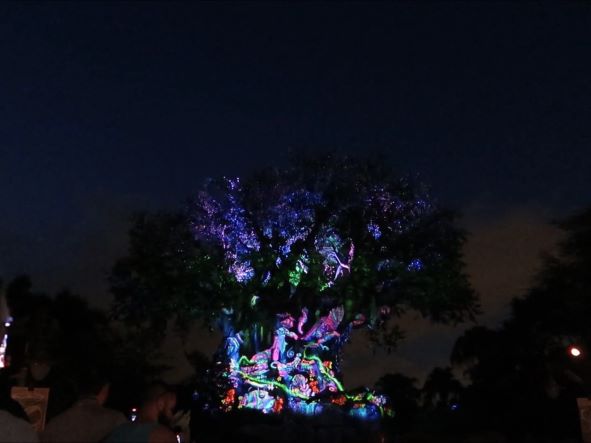 Beacons of Magic Animal Kingdom